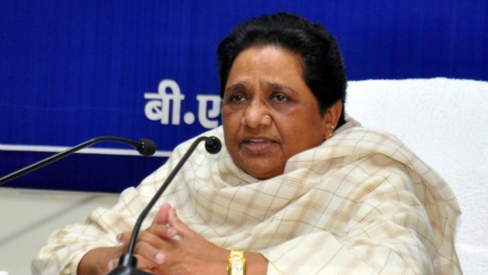 Bsp news