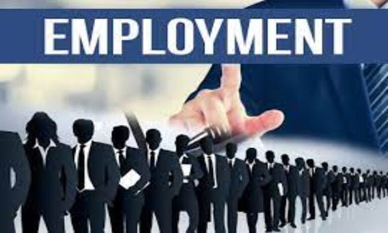 Employment