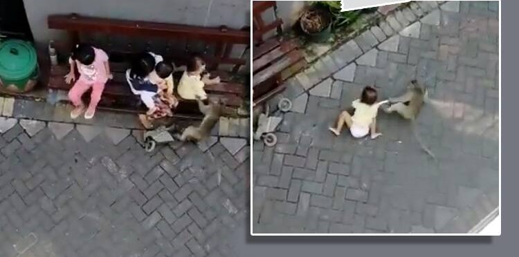 Viral Video