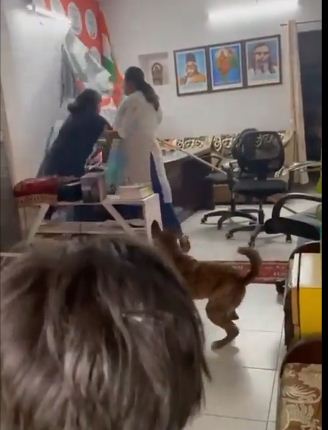 Viral Video