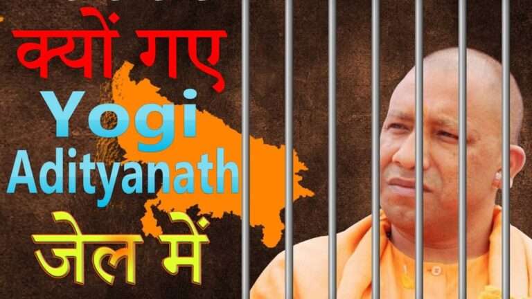 yogi