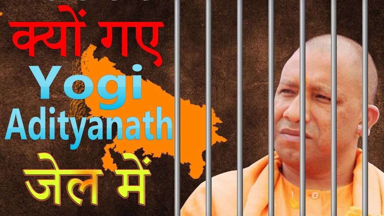 yogi