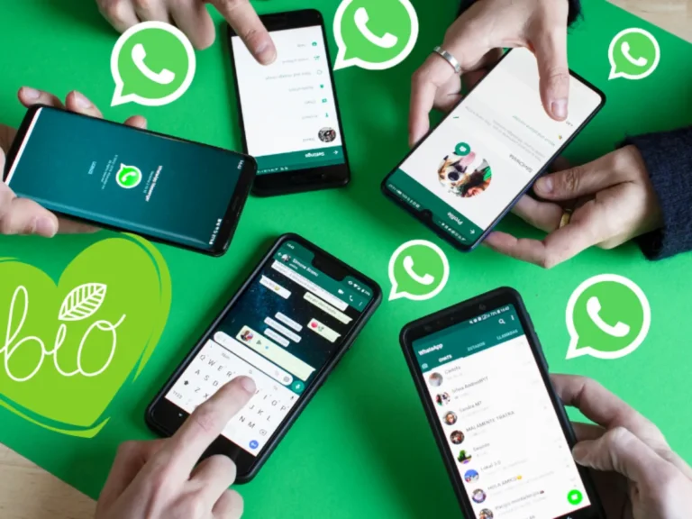 Whatsapp Update
