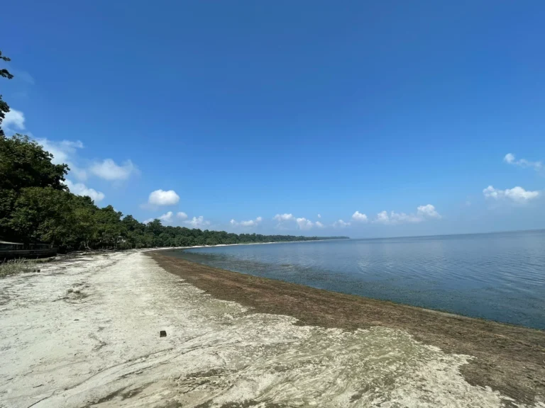 Beach in UP