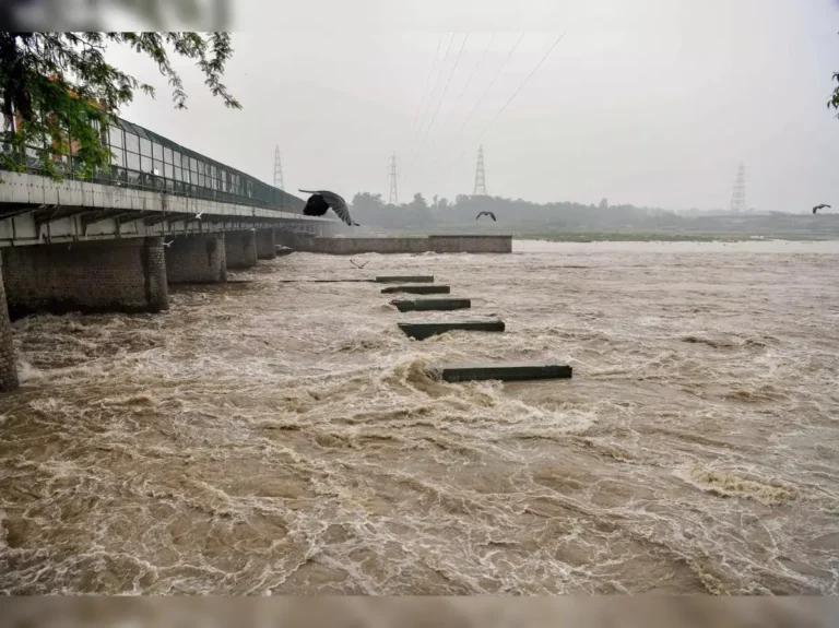 Yamuna