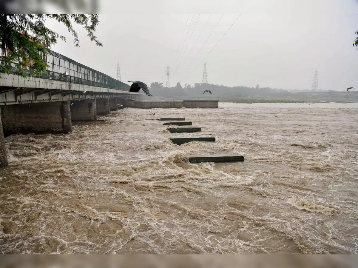 Yamuna